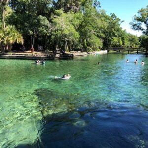 Wekiva Springs