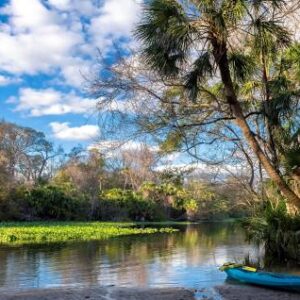 Wekiva Springs