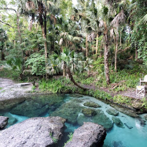 Wekiva Springs